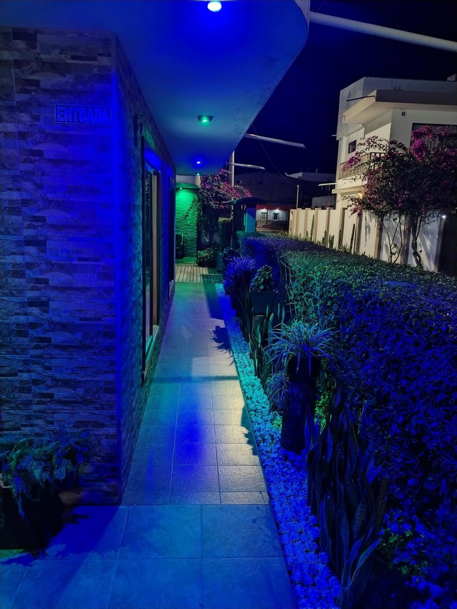 Hotel Starfish 比亚米尔港 外观 照片
