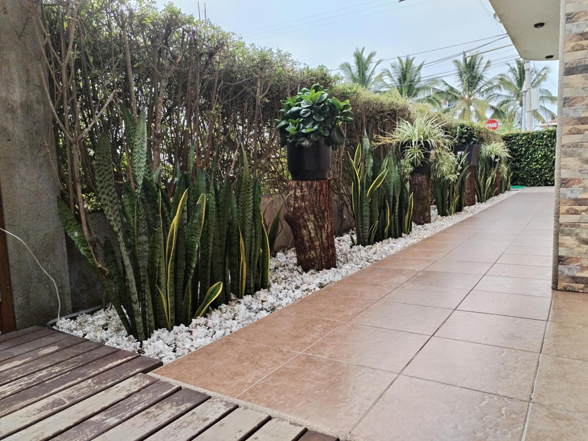 Hotel Starfish 比亚米尔港 外观 照片