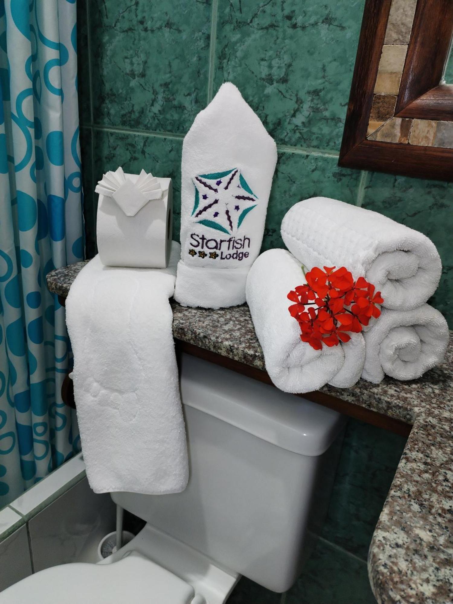 Hotel Starfish 比亚米尔港 外观 照片