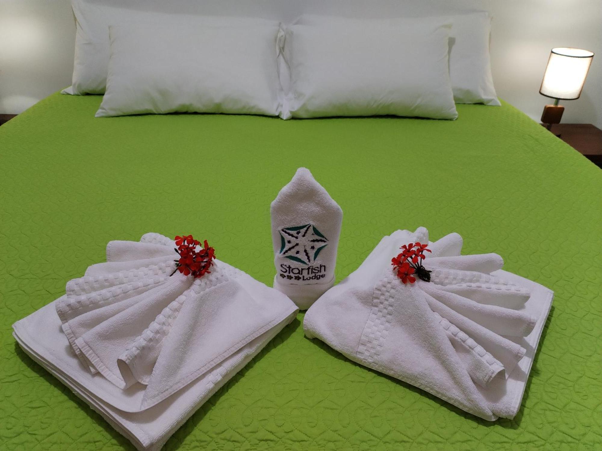 Hotel Starfish 比亚米尔港 外观 照片